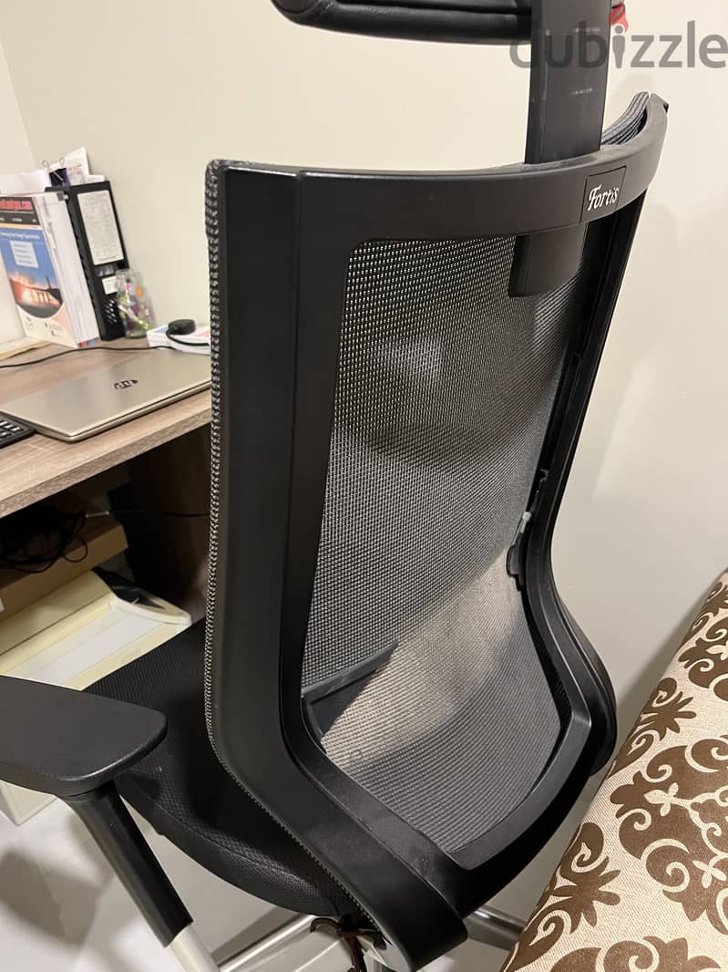 Adjustable chair 1