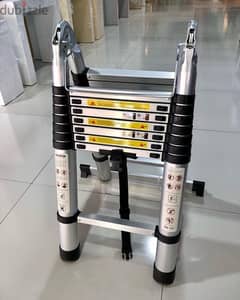 Telescopic Ladder