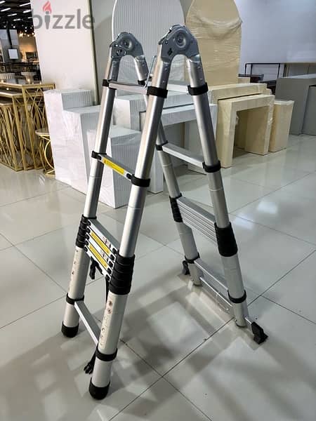 Telescopic Ladder 2