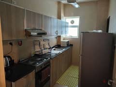 Furnished apartments for rent