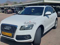 Audi Q5 2013 0