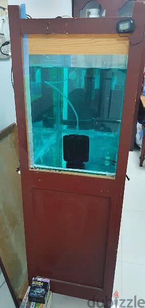 Fish Tank 2