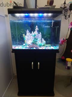 fish tank with cupboard 0