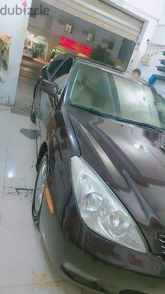 Lexus ES 300 2004 6