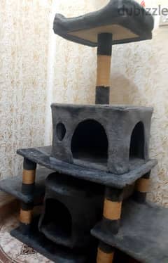 house for cats