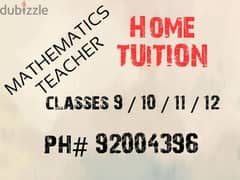 professional mathematics teacher is doing home lessons