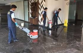 house cleaning flat cleaning Villa cleaning best price