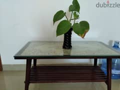 table with glass top , money plant