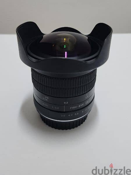 Canon Lenses Full-frame, Mirrorless, Ultrasonic, Crop Sensor 6