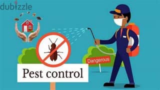 Pest control, Bedbugs killer medicine available, insects etc