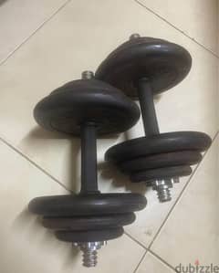 Dumbbell 20kg