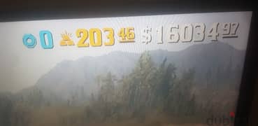 RDR2 ACCOUNT FOR SALE 200+ GOLD BARS 16000 CASH MALE CHARACTER 0