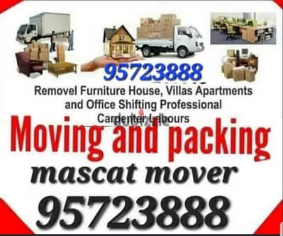 Profesional Mover Carpenter House villa Office shifting furniture fix