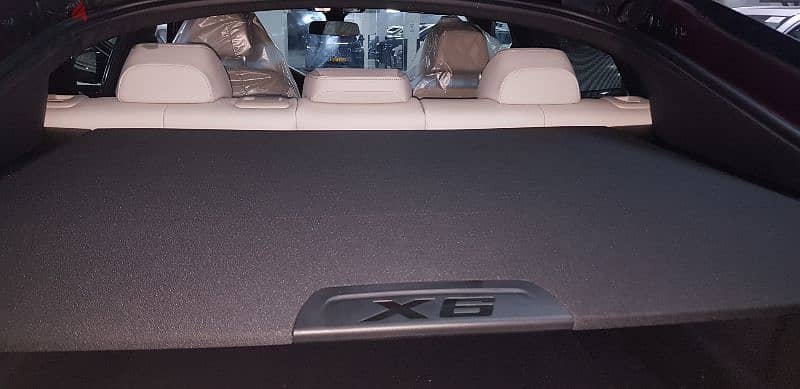 BMW X6 2022 Special Order 6