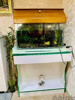 Fish tank