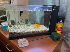 Fish Aquarium Sale 0