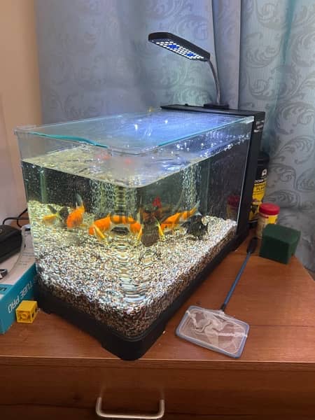 Fish Aquarium Sale 1