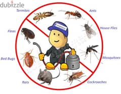 Professionally Pest Control Services