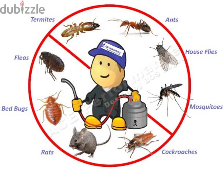 Professionally Pest Control Services 0