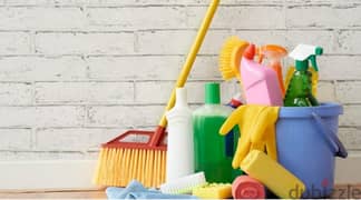 a professional house, villa, building, office, school cleaningservice 0