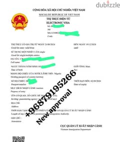 VIETNAM  3 MONTHS  VISA 100% 0