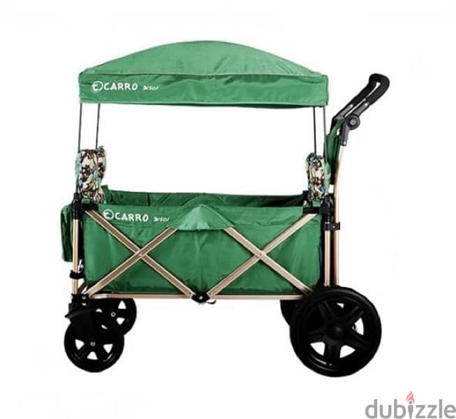 kids wagon for 2 kids 1