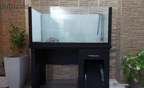 Fish aquarium with stand