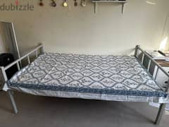 single Iran frame bed