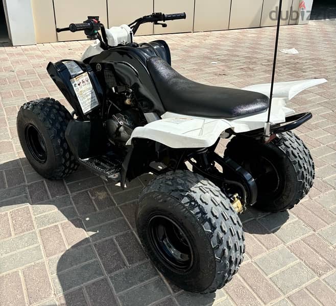 Yamaha Raptor 90cc 2