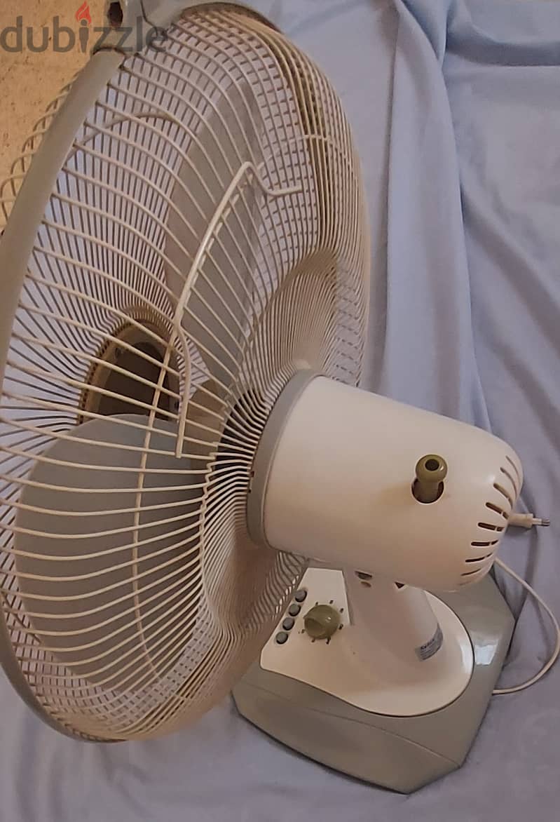 Selex Table Fan 2