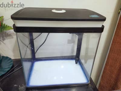 Small Fish Aquarium Tank