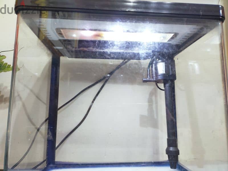 Small Fish Aquarium Tank 1