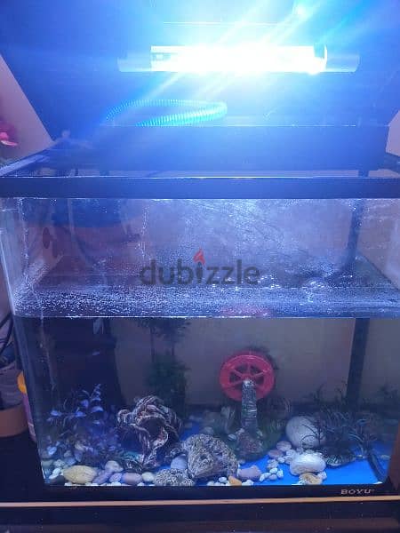 Large Fish Aquarium Tank 3