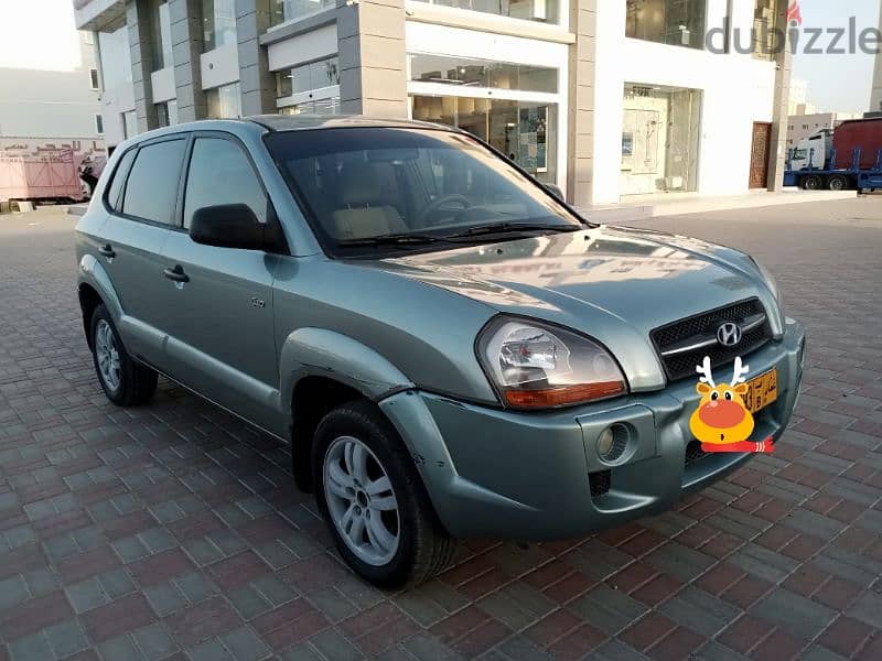 Hyundai Tucson 2006 11