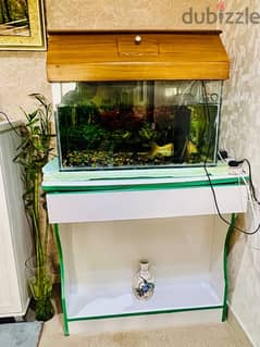 Fish Tank in Excellent condition