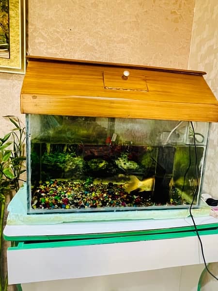 Fish Tank in Excellent condition 2