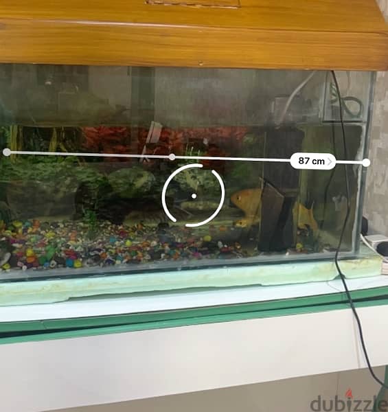 Fish Tank in Excellent condition 5