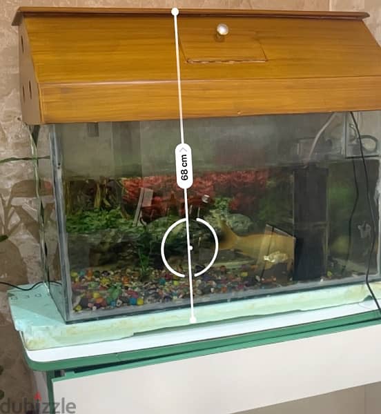 Fish Tank in Excellent condition 6