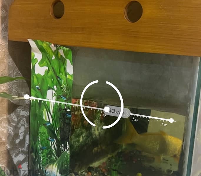 Fish Tank in Excellent condition 7