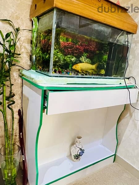 Fish Tank in Excellent condition 8