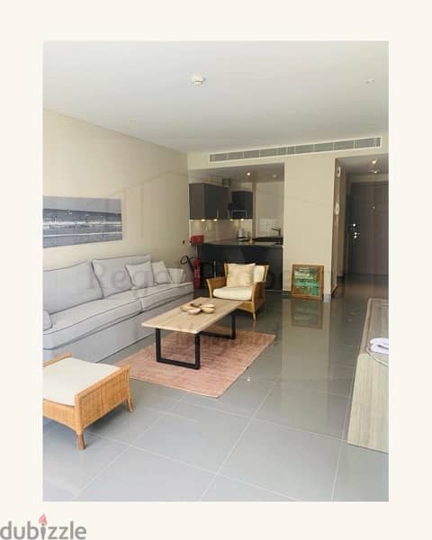 Elegant 1 Bedroom fully furnished apartment for rent. 3