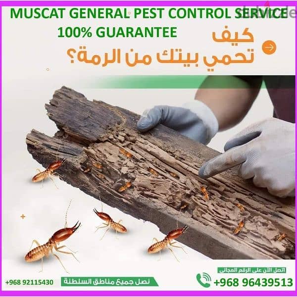 Muscat general Pest control services 2