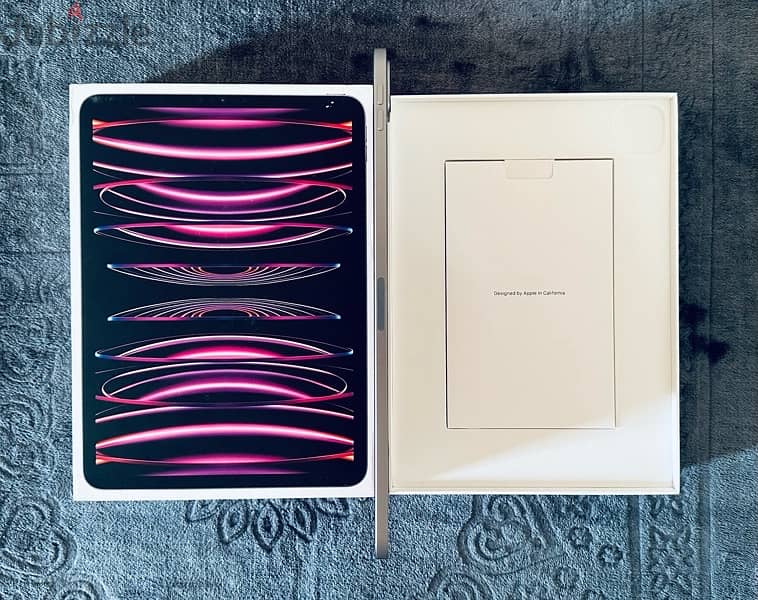 IPad Pro 11 M2 256GB 5