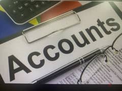 Providing accounting services and financial consulting 0