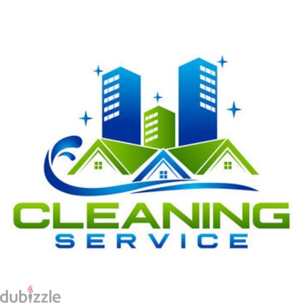 Sofa chair and Carpet cleaning service 2