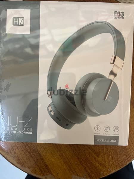 HEATZ headphone 2