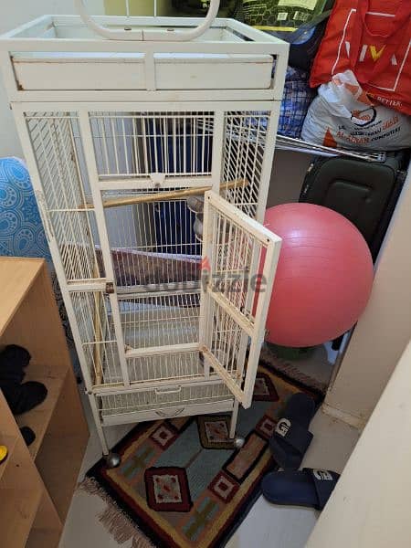 Cage for Parrot Kasko  قفص ببغاء كاسكو 2