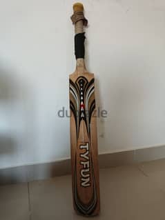 Cricket bat