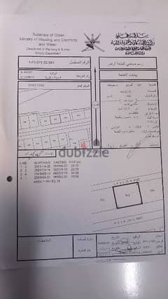 العامرات الحشيه