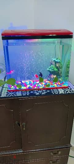 good condition fish tank 0